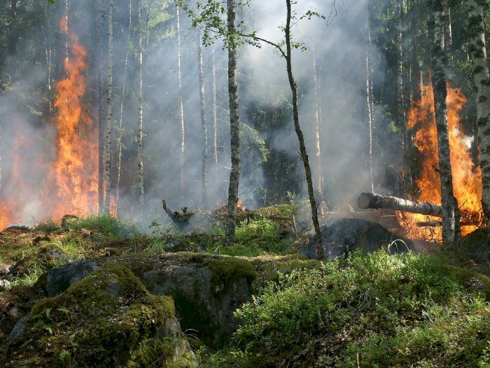 Ada 42 Titik Panas Indikasi Kebakaran Hutan dan Lahan yang Terdeteksi di Sumut