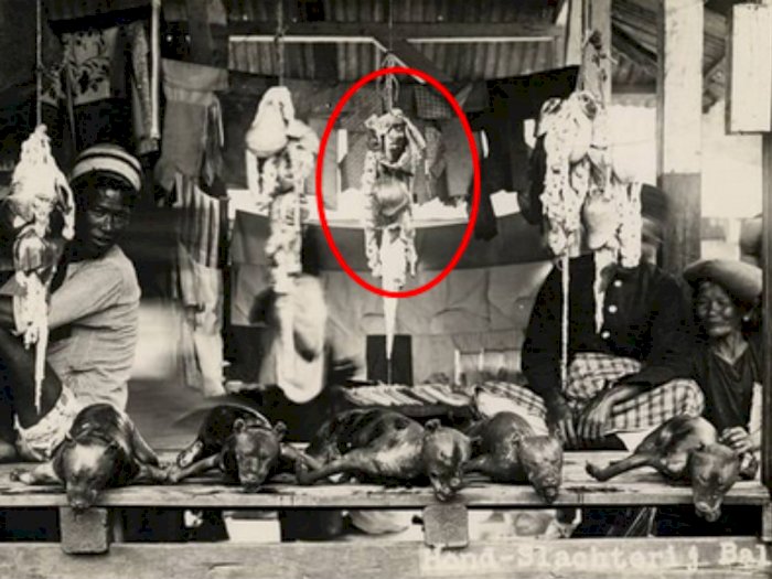 Potret Jadul Penjual Daging Anjing di Balige 1935 Viral, Netizen Kaget: Kirain Kuyang