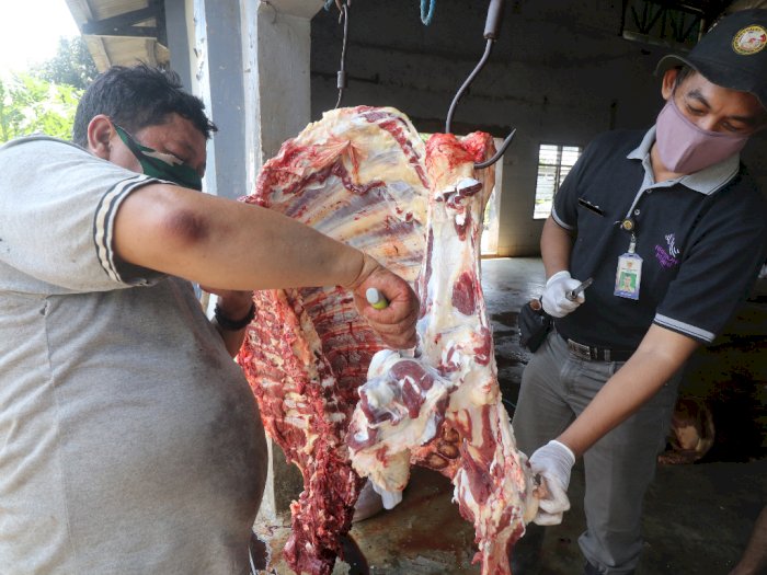 FOTO: Sidak Kelayakan Daging Kurban