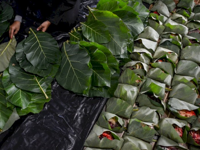 FOTO: Santri Bungkus Daging Kurban Dengan Daun Jati ...