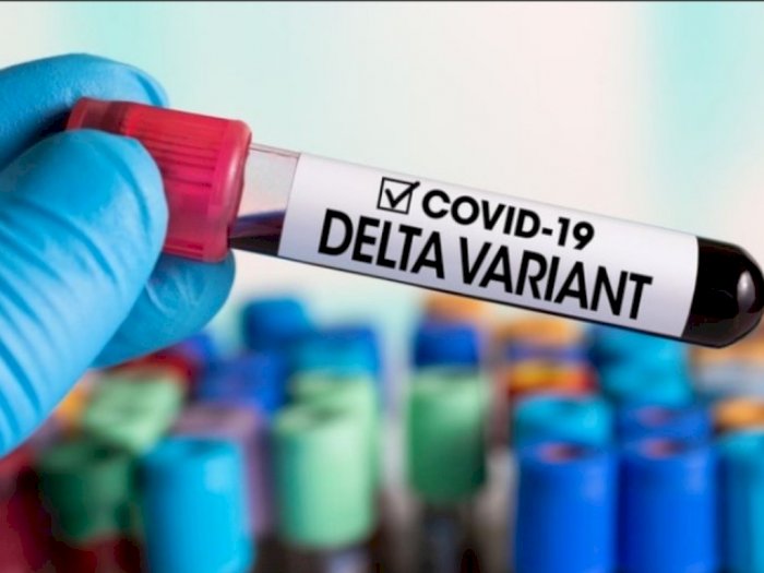 Penyintas Covid-19 Masih Bisa Terkena Virus Corona Kembali, Ini Penyebabnya Kata Dokter