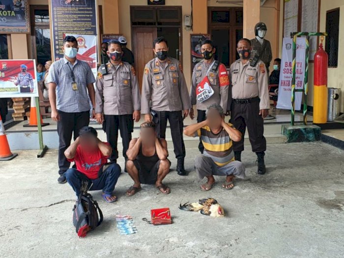 Judi Sabung Ayam Digerebek Polisi di Papua, 3 Orang Diamankan