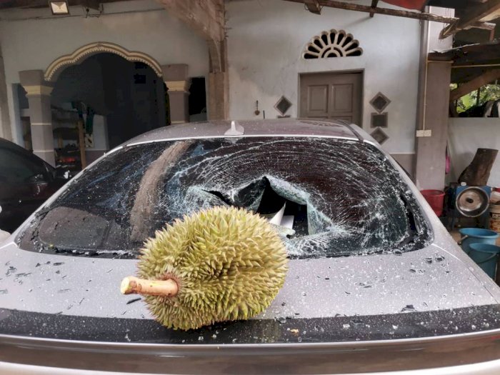Viral Pria Jual Durian Tak Pernah Sentuh Tanah Rp 1,7 Juta, Malah Ditawar Oleh Menteri