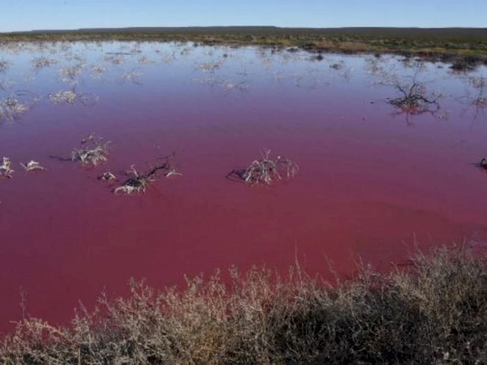 Laguna di Argentina Berubah Warna Jadi Pink Mencolok, Disebabkan Karena Polusi Bahan Kimia