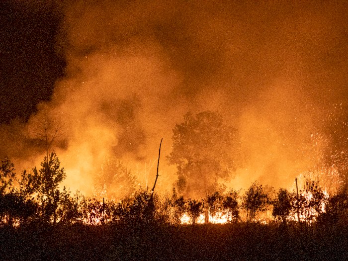 FOTO: Pemadaman Kebakaran Lahan di Ogan Ilir