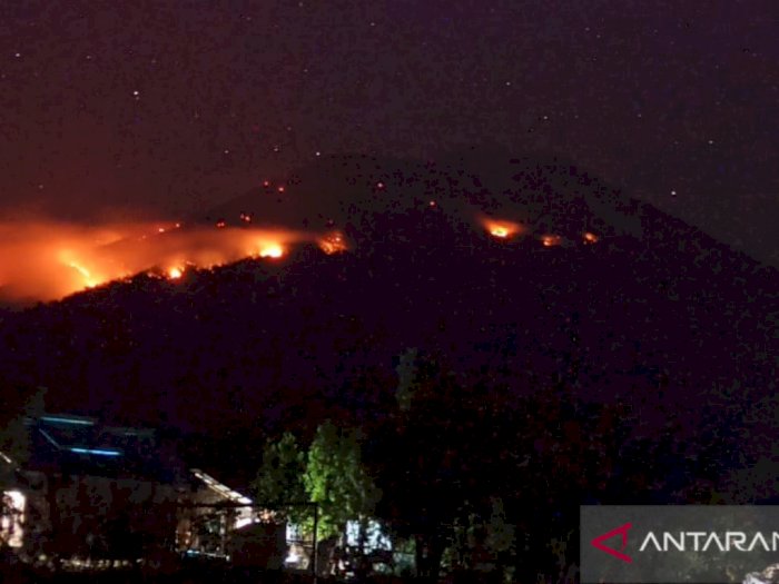 Helikopter Dikerahkan untuk Padamkan Kebakaran Hutan Akibat Erupsi Gunung Ile Lewotolok