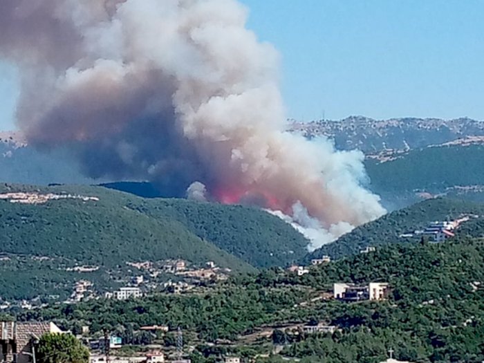 FOTO: Kebakaran Hutan di Kota Qobayat, Lebanon