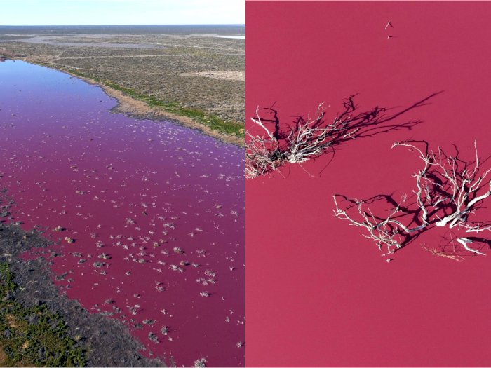 Danau di Argentina Berubah Jadi Pink, Tampak Indah Tapi Berbahaya