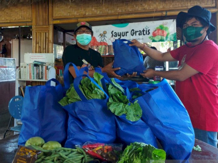Salut! Petani Songan-Bangli Bagi-bagi Sayuran Gratis untuk Warga di Denpasar