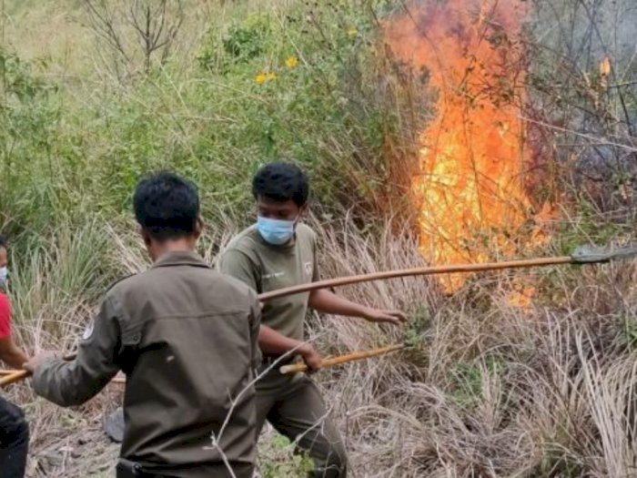 Karhutla di Dairi dan Karo, Puluhan Hektare Lahan Hangus Terbakar