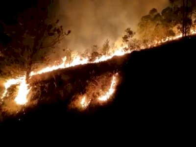 Api Melahap Lahan Seluas 25 Hektar di Samosir, Petugas Berjibaku Memadamkannya Sejak Pagi