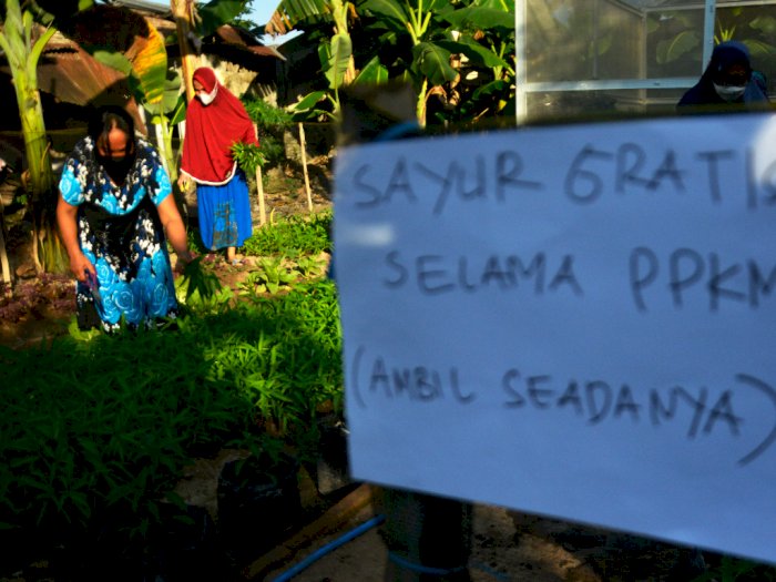 FOTO: Aksi Berbagi Sayur Gratis Pada Masa PPKM di Gowa