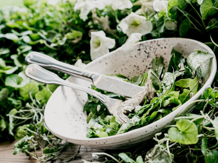 Salad dan Sup Dianggap Makanan Sehat, Ini Kata Para Ahli