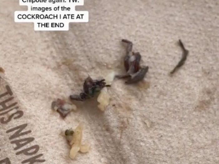 Jijik! Wanita Ini Tak Sengaja Makan Kumbang yang Ditemukan di Dalam Makanannya