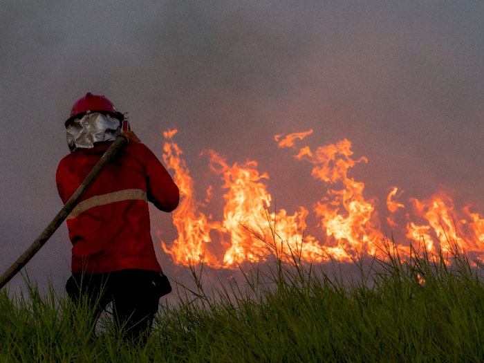 FOTO: Pemadaman Kebakaran Lahan di Pemulutan Sumsel