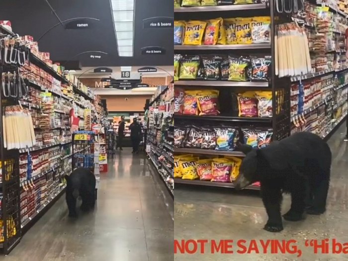 Viral Seekor Beruang Masuk ke Supermarket, Bikin Warga Panik