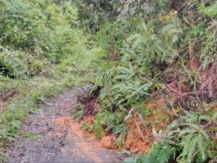 Akibat Hujan, Tebing 5 Meter Longsor dan Nyaris Putus Akses Jalan Desa di Tapsel