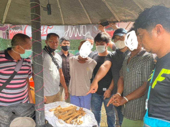 Tim Gabungan BKSDA Sumbar Berhasil Tangkap Dua Pelaku Penjual Tulang Harimau