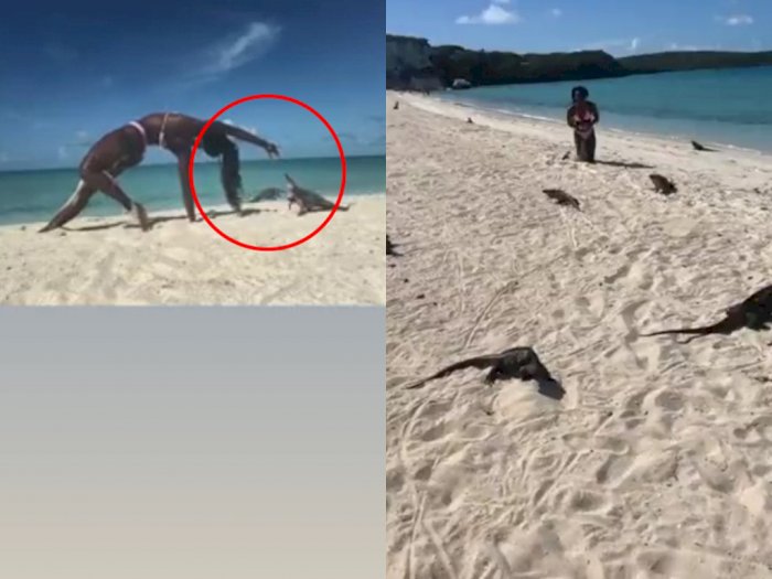 Viral Video Wanita Seksi 'Disentil' Iguana Ketika Sedang Melakukan Yoga di Pantai