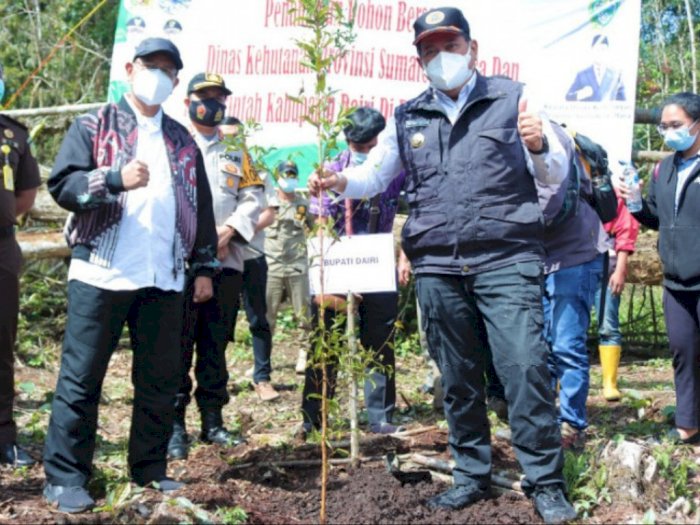 Lahan Kritis, Pemkab Dairi Tanam Pohon di Kawasan Hutan Lae Pondom