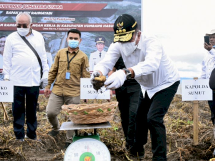 Tahun Depan Tambah Lahan 200 Ha, Gubsu Sebut Perkembangan Food Estate di Humbahas Positif