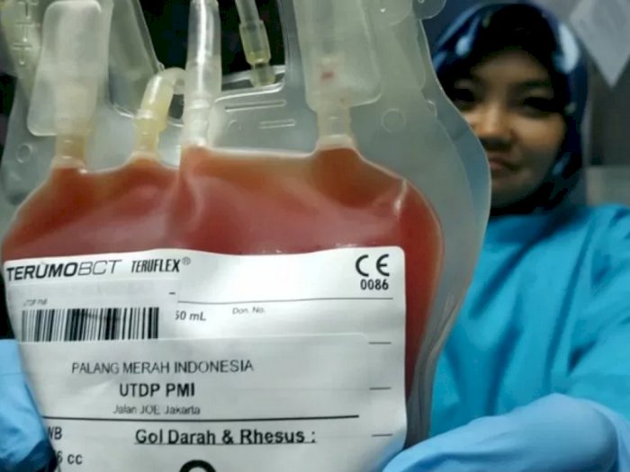 PMI Pastikan Persediaan Darah di Tengah Pandemi Aman