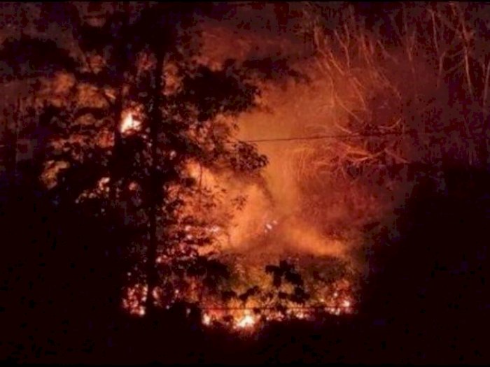 Kabar Memilukan, Pegunungan Ceuncrang Aceh Jaya Terbakar, BPKB Kerahkan 3 Unit Damkar