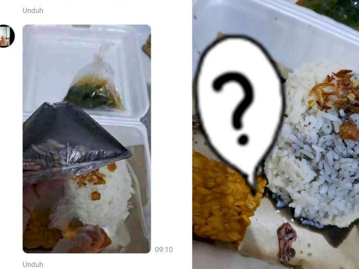 Kisah Netizen Tergiur Promo Beli Nasi Cumi Lewat Ojol, Pas Datang Isinya Menyedihkan