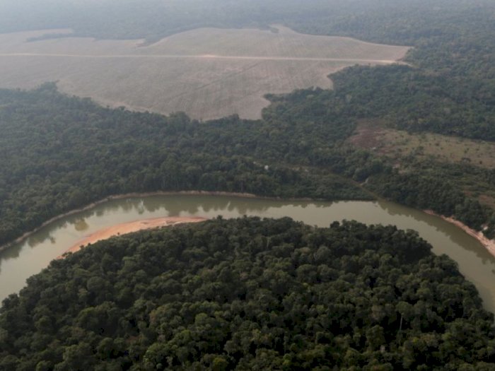 Delegasi Amazon Meluncurkan Kampanye untuk Cegah Deforestasi pada Amazon!