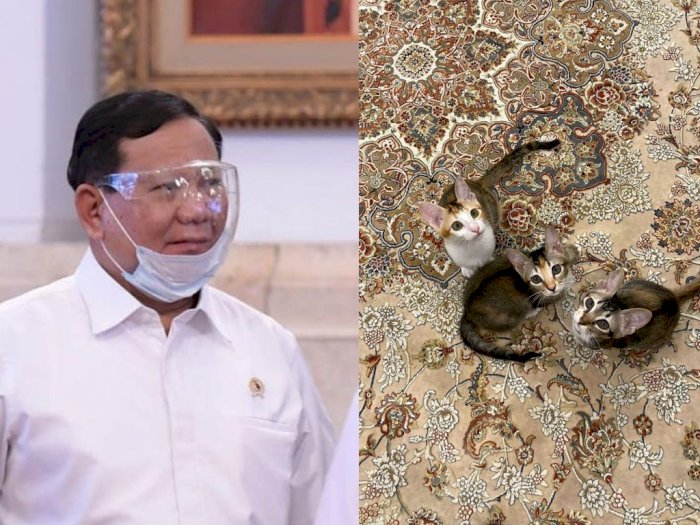 Prabowo Pamer 3 Kucing yang Baru Diadopsi, Netizen Pertanyakan Bagaimana Kabar Bobby