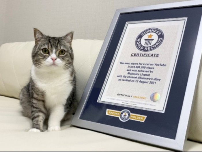 Kucing asal Jepang Ini Pecahkan Rekor Dunia Gara-gara Youtube