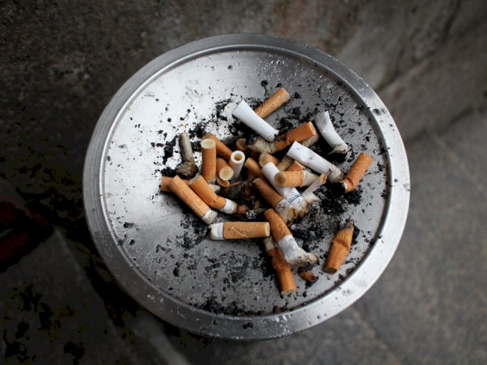 Kenali Perbedaan Zat Nikotin dan TAR Dalam Rokok, Ini yang Lebih Berbahaya