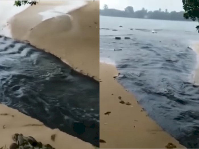 Duh! Tambak Udang di Carita Pandeglang Diduga Buang Limbah ke Laut, Banjir Kecaman Netizen