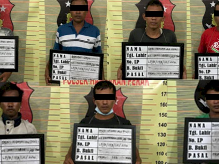 Curi Seekor Lembu, Tujuh Pria di Hamparan Perak Diringkus Polisi