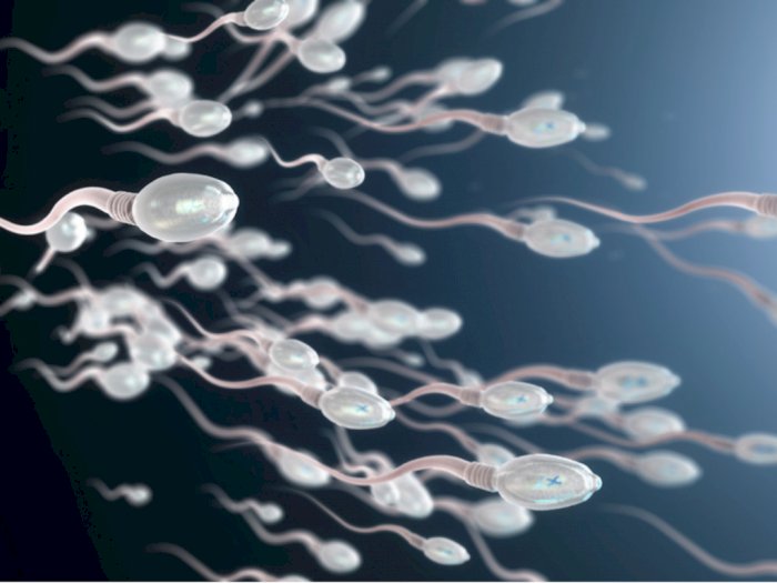 7 Cara Memperbanyak Sperma Pria Secara Alami