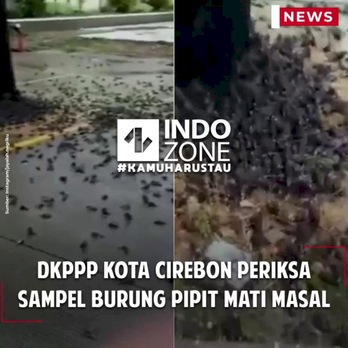 DKPPP Kota Cirebon Periksa Sampel Burung Pipit Mati Masal