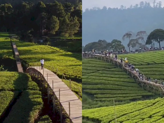 Ekspektasi vs Realita di Objek Wisata Nuansa Riung Gunung, Pangalengan yang Viral
