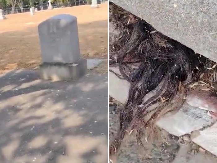 Ngeri! Pria ini Terkejut Saat Menemukan Rambut Menyembul dari Kuburan Berusia 100 Tahun