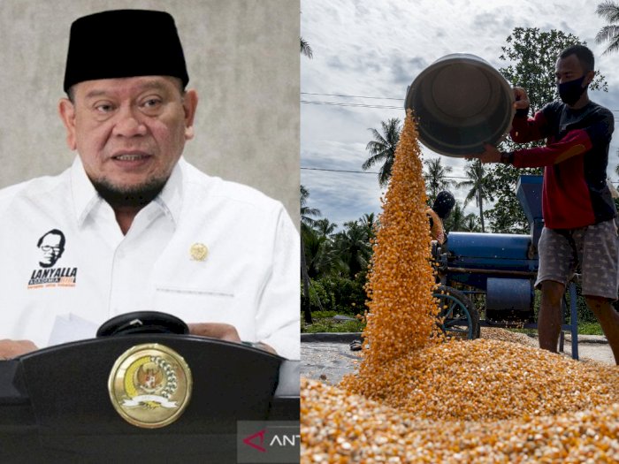 Ketua DPD RI Kritik Rencana Impor untuk Mengatasi Tingginya Harga Jagung
