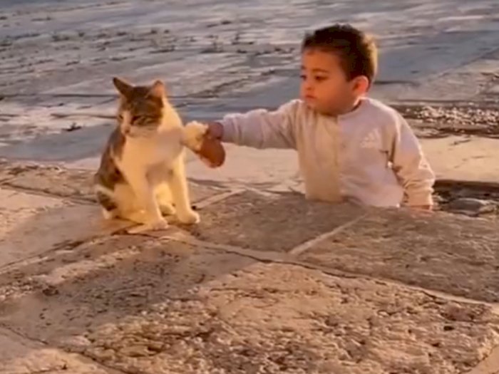 Video Menggemaskan Balita yang Berikan Makanan ke Kucing, So Sweet Banget!
