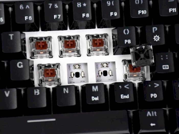 Mengetahui Perbedaan Warna Switch yang Ada di Keyboard Mechanical