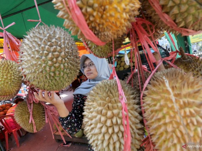 Ternyata Limbah Durian Bisa Jadi Perban Anti Bakteri, Ini Penjelasannya