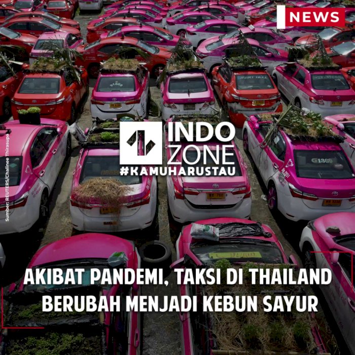Akibat Pandemi, Taksi di Thailand Berubah Menjadi Kebun Sayur