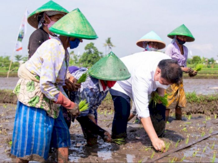 Tingkatkan Produktivitas, Menko Airlangga Dukung Smart Farming Petani Milenial
