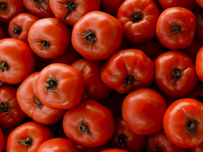 Unik! Jepang Jual Tomat yang Dikembangkan dengan Teknologi Pengeditan Gen