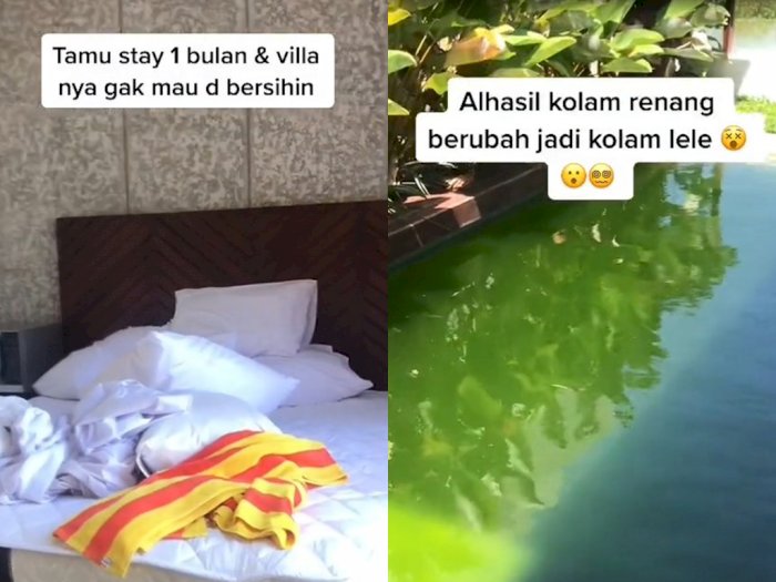 Viral Tamu Tak Ingin Kamarnya Dibersihkan Selama 1 Bulan, Air Kolam Sampai Berubah Warna