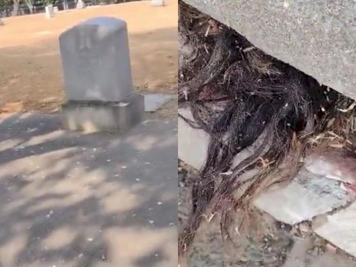 Merinding! Pria Ini Temukan 'Rambut Manusia' yang Keluar dari Kuburan Berusia 100 Tahun