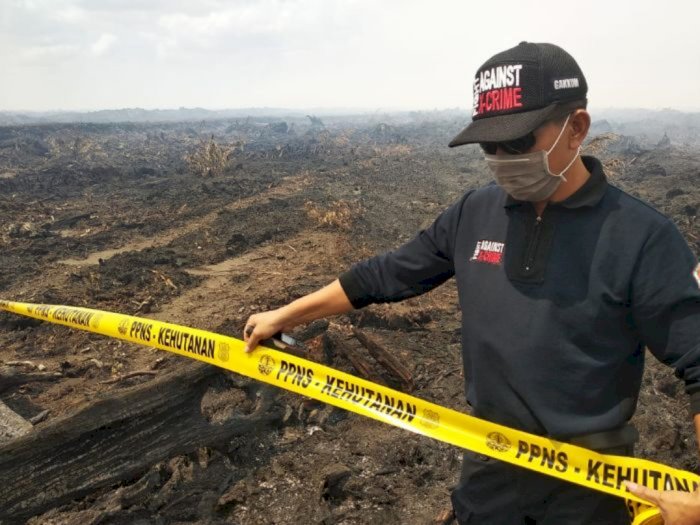 Kebakaran Lahan 3 Ribu Hektar di Kalteng, Perusahaan Ini Harus Ganti Rugi Rp175 M