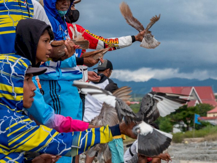 FOTO: Kontes Merpati Balap di Palu