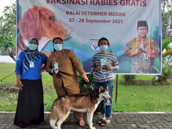 Tiga Kabupaten Penyumbang Kasus Rabies Tertinggi di Sumut,  Provsu Masuk 5 Besar Indonesia